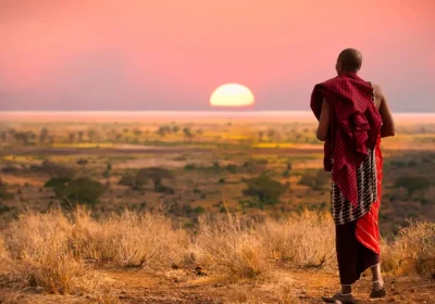 Serengeto or masai mara