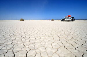 Africa Kenya and Tanzania safaris