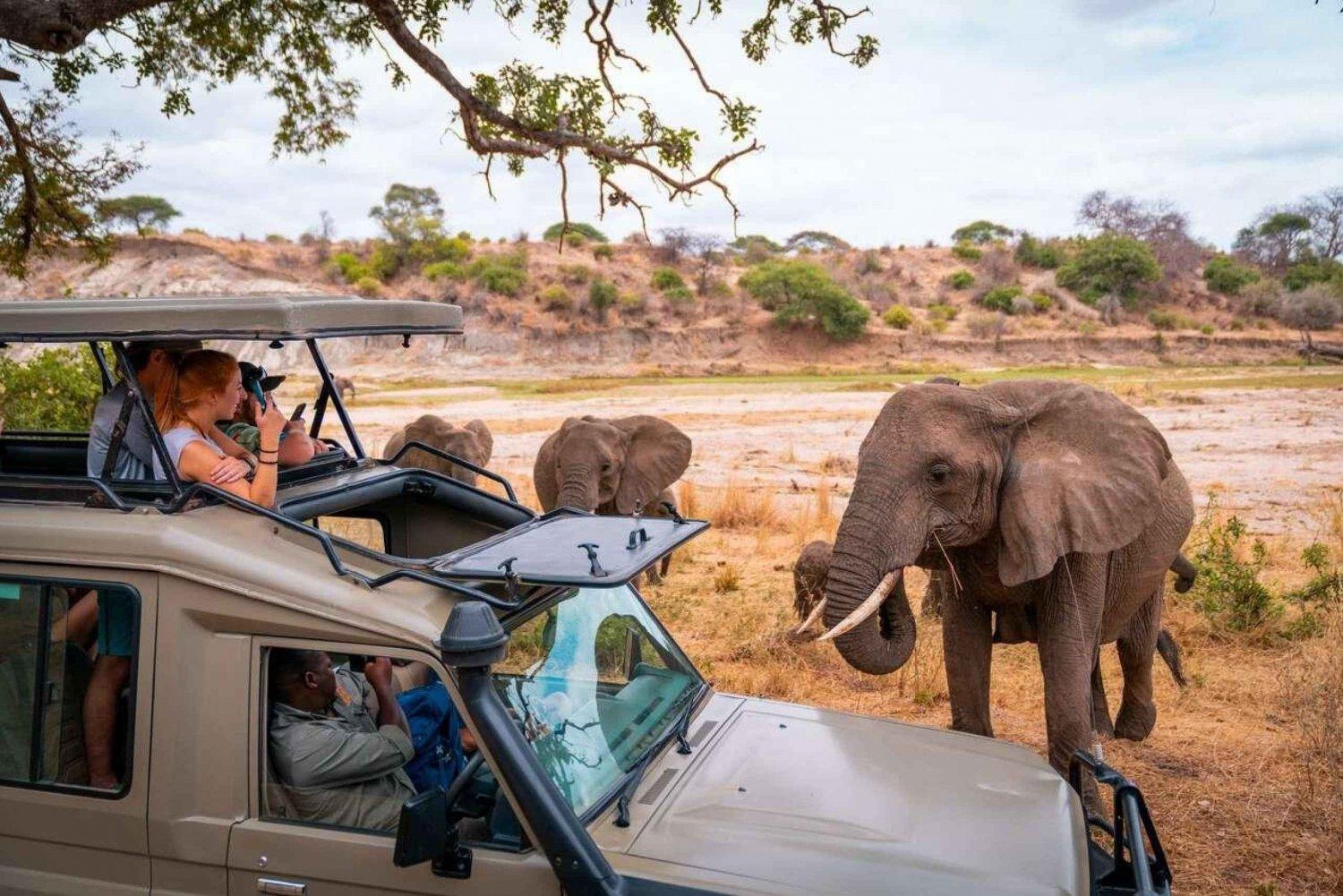 How to Book an African Safari