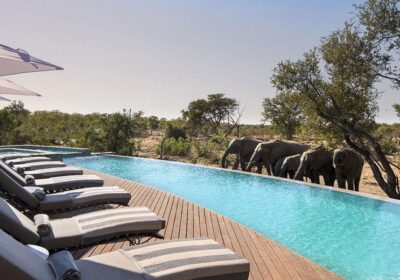 Luxury safari in Kenya