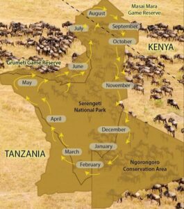Wildebeest Migration Safari