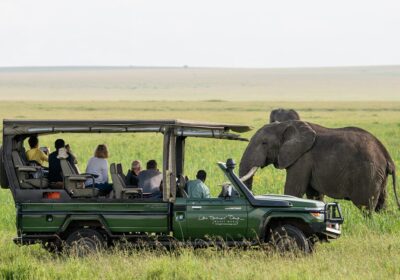 Safari Cost in Africa