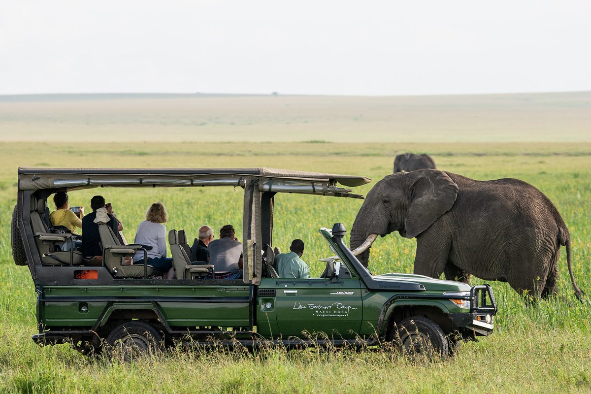 Safari Cost in Africa