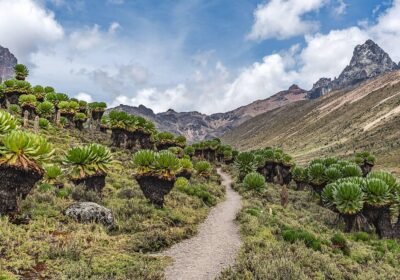 Unique Things to Do in Kenya