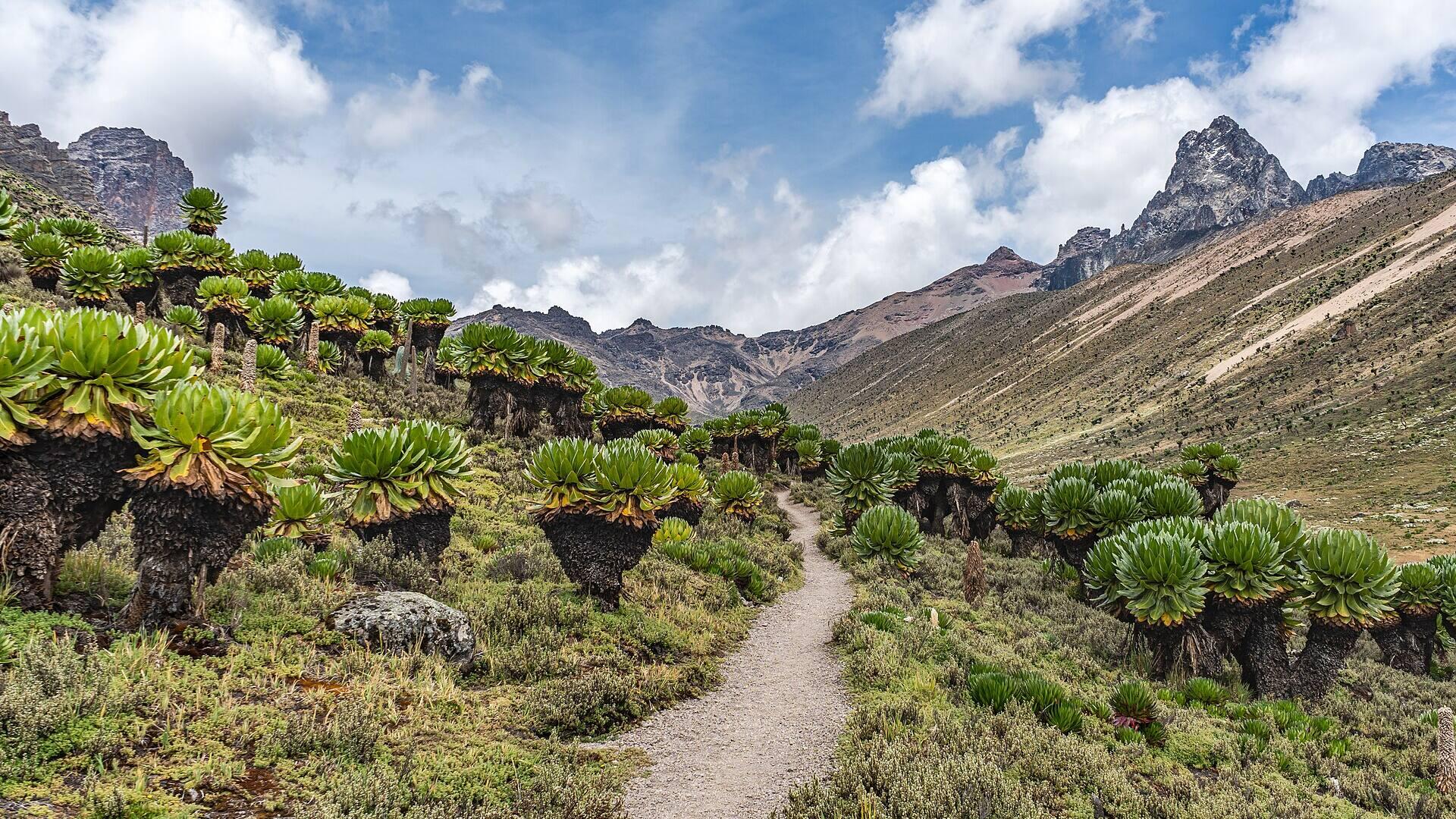 Unique Things to Do in Kenya