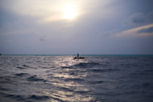 Africa Kenya and Tanzania safaris