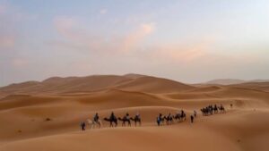 Camel tours in Morocco