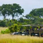 Best Africa safari