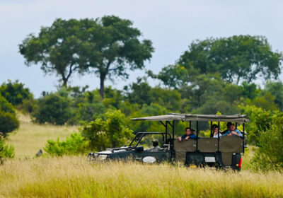 Best Africa safari