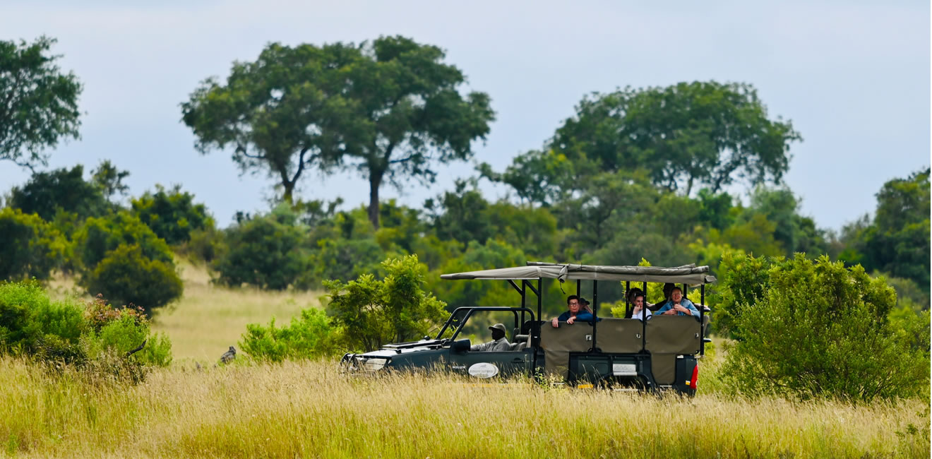 Best Africa safari