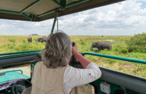 Photography safari in Kenya