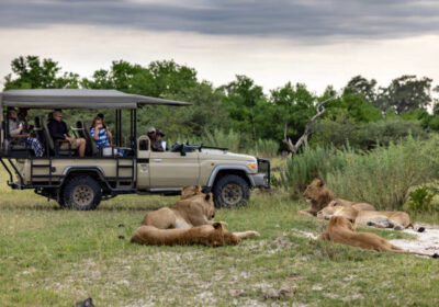 Masai mara national reserve Kenya