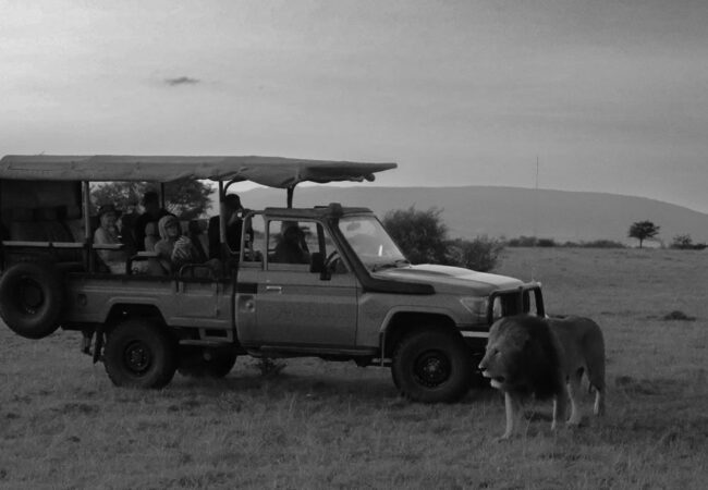 Kenya masai mara safari