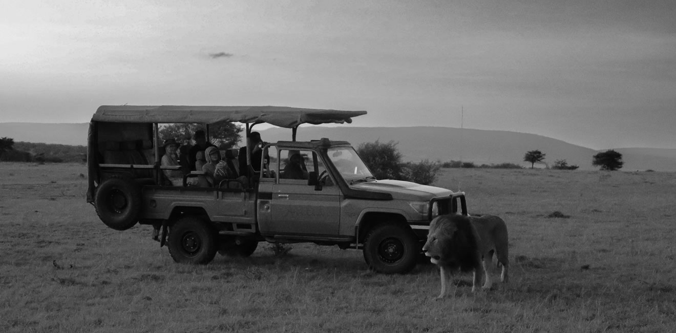 Kenya masai mara safari