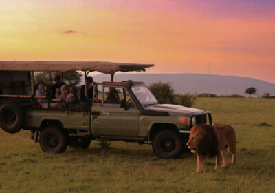 Luxury safari in kenya