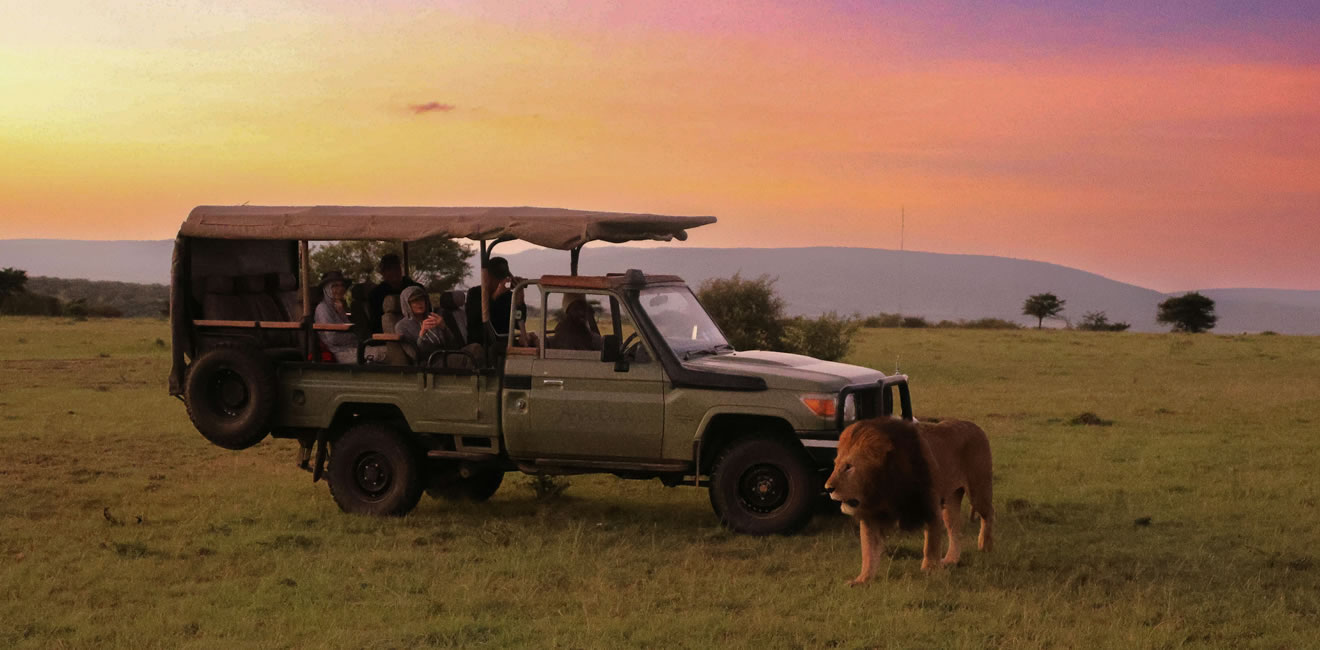 Luxury safari in kenya