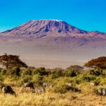 Best Time to Climb Mount Kilimanjaro