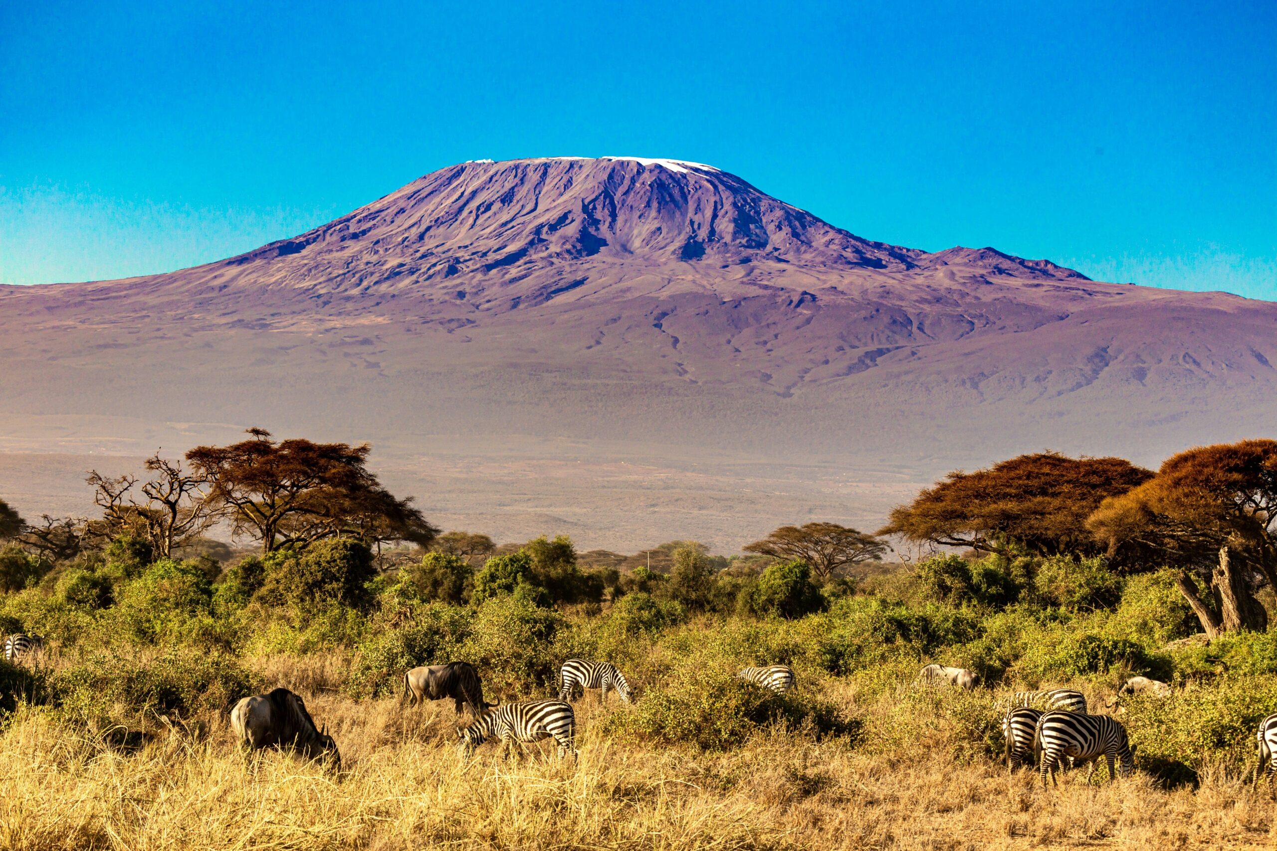 Best Time to Climb Mount Kilimanjaro