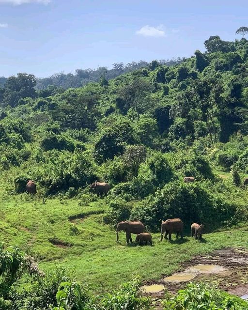 Africa Kenya and Tanzania safari tours Best Safari and Beach Combinations in Kenya