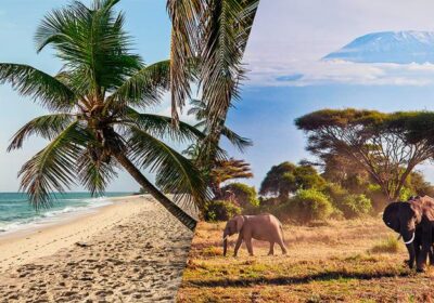 Best Safari and Beach Combinations in Kenya