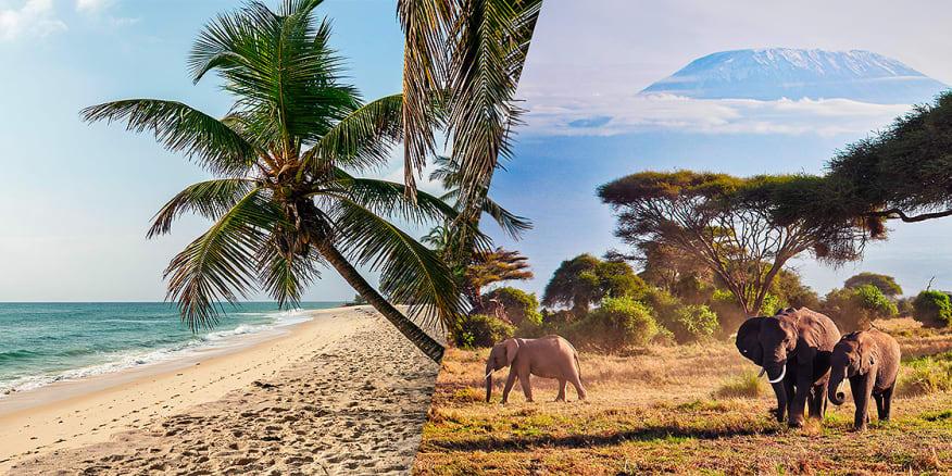 Best Safari and Beach Combinations in Kenya