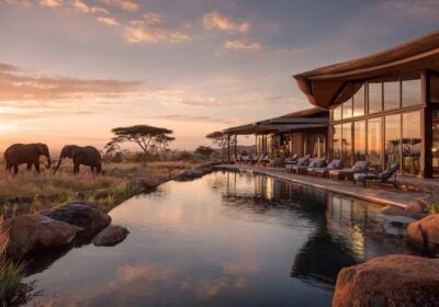 how to plan a luxury African safari