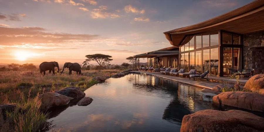 how to plan a luxury African safari