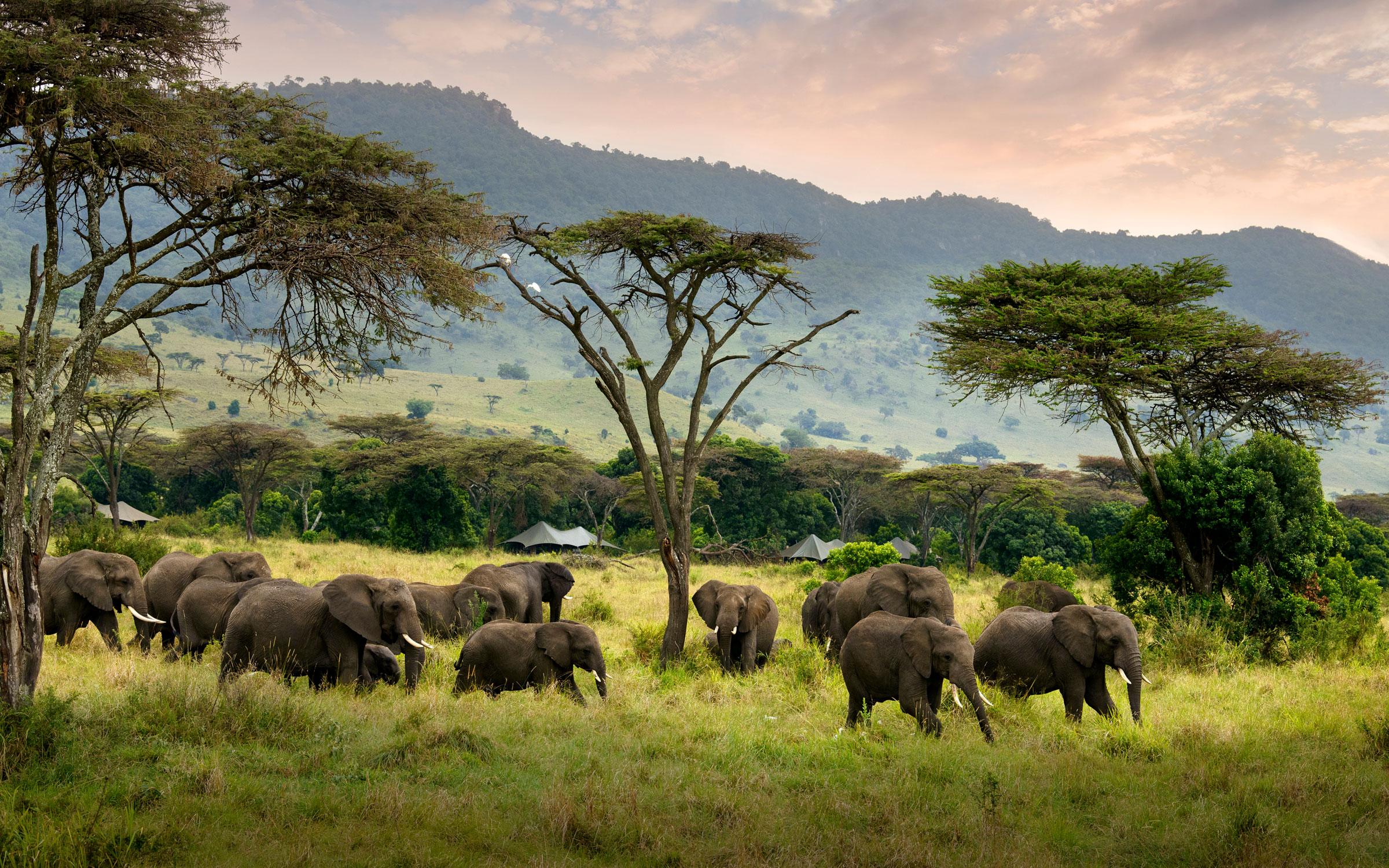 Secret Season Safari Guide