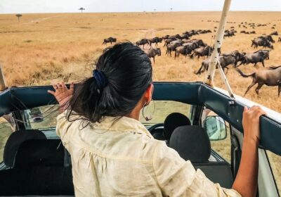 solo female safari