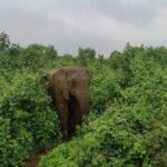 safari and beach destinations in Tanzania