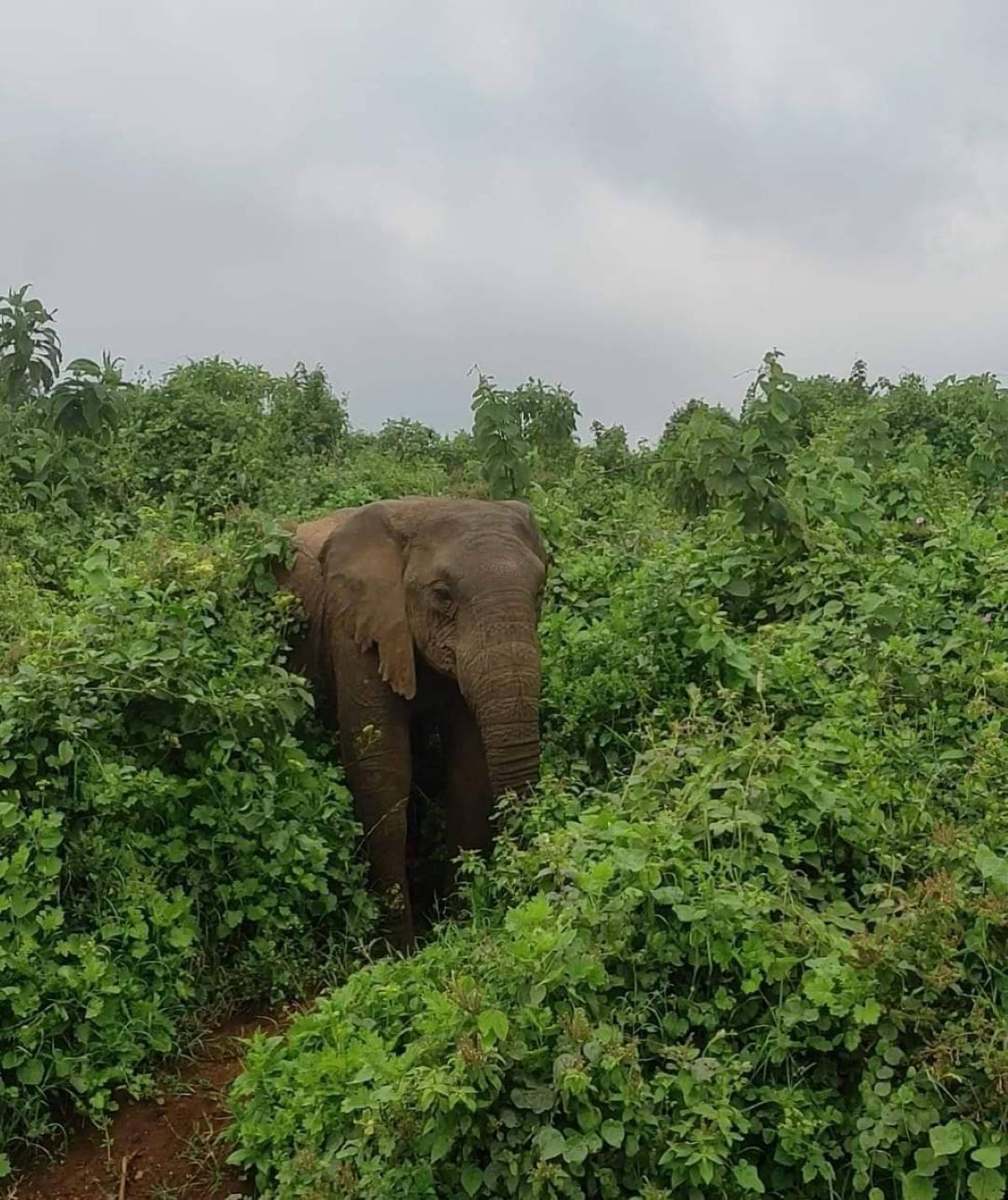 safari and beach destinations in Tanzania