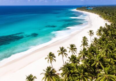 Kenya Coast Day Trips