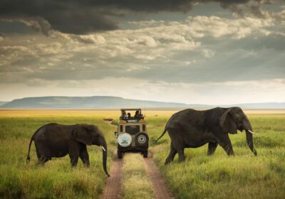 Tanzania Safari and Beach Destinations