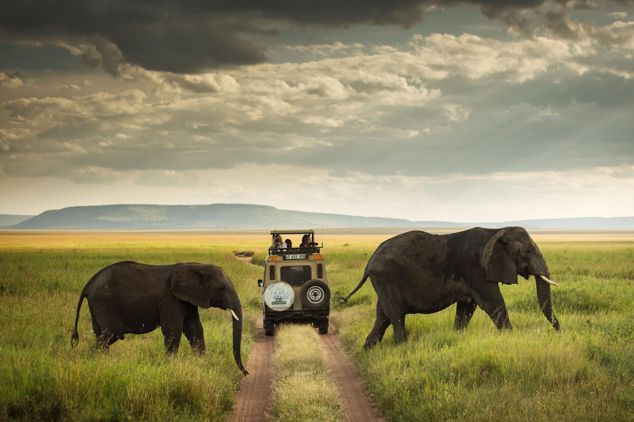 Tanzania Safari and Beach Destinations