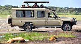 African safari safety and etiquette guidelines