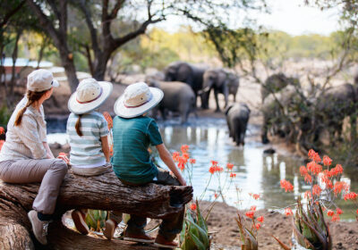 African safari safety and etiquette