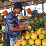 Swahili Phrases for Your Kenyan Safari