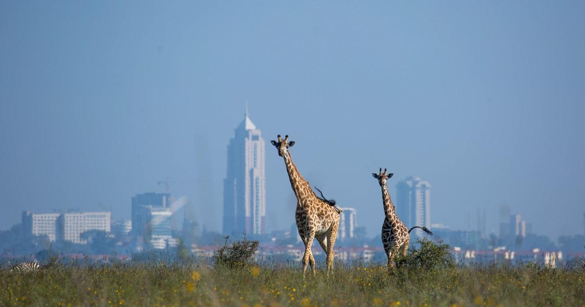 Nairobi Day Trips and Excursions