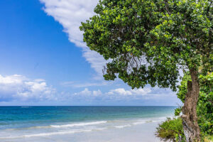 Beach holiday with Astute Africa Safaris