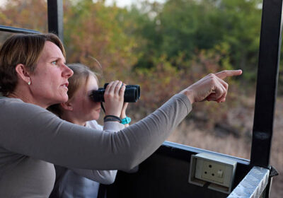 Family African Safari