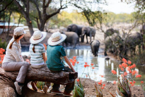 Family watching elephants