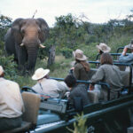 Kenya Safari Adventure