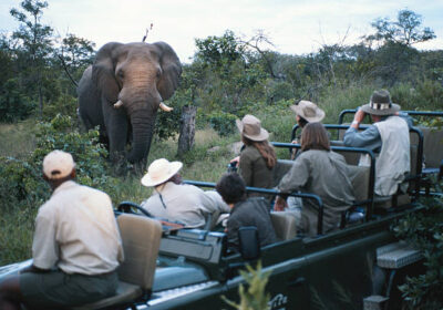 Kenya Safari Adventure