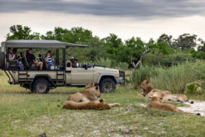 Game drives at Masai Mara