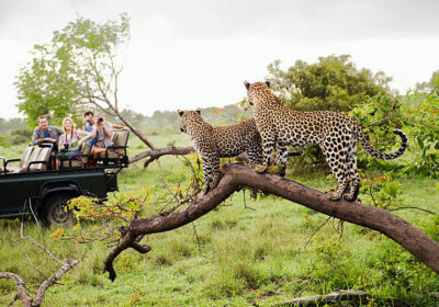 Maasai Mara