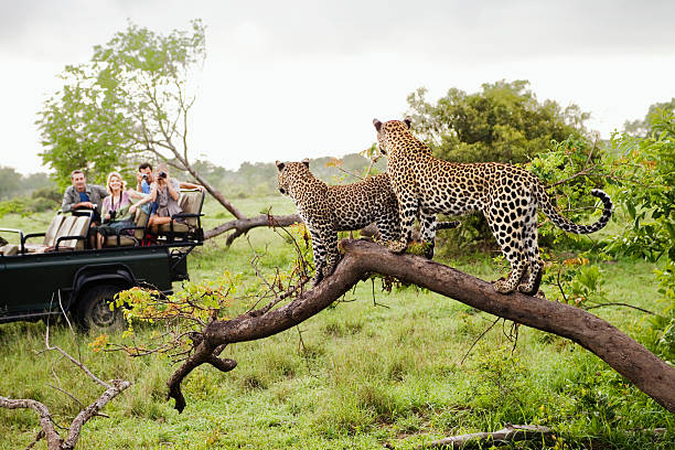 Maasai Mara