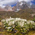 7-day Kenya safari tour itinerary