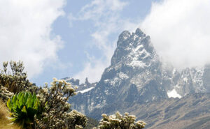 Kilimanjaro and Mount Kenya