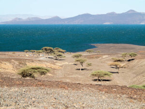 Lake Turkana