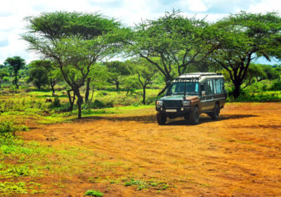 Guilt-Free Africa Safari